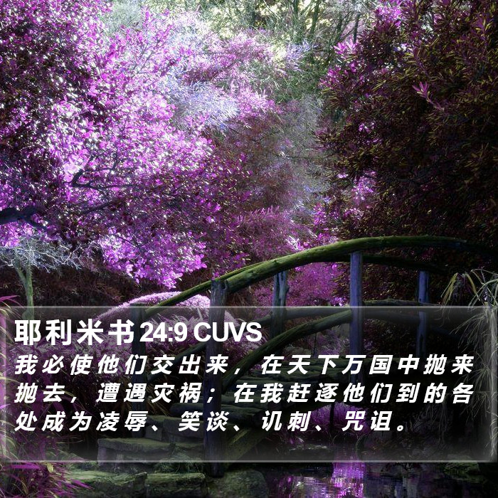 耶 利 米 书 24:9 CUVS Bible Study