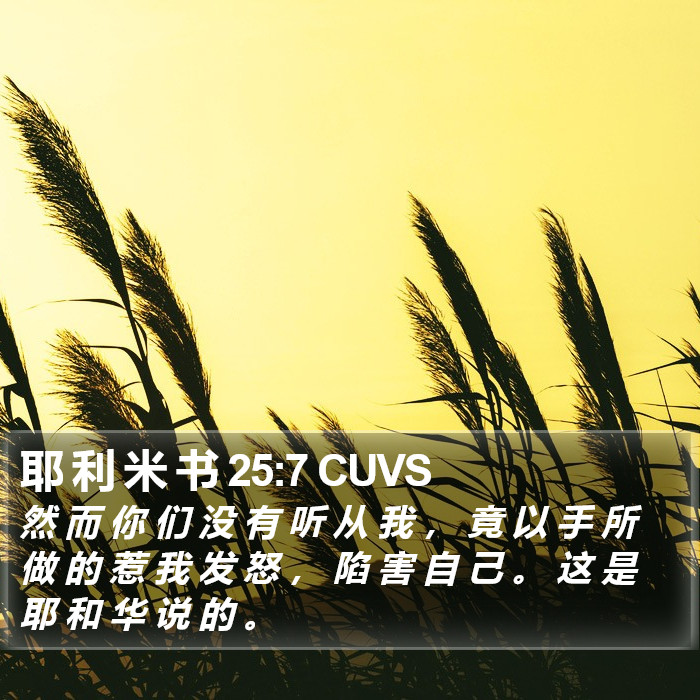 耶 利 米 书 25:7 CUVS Bible Study