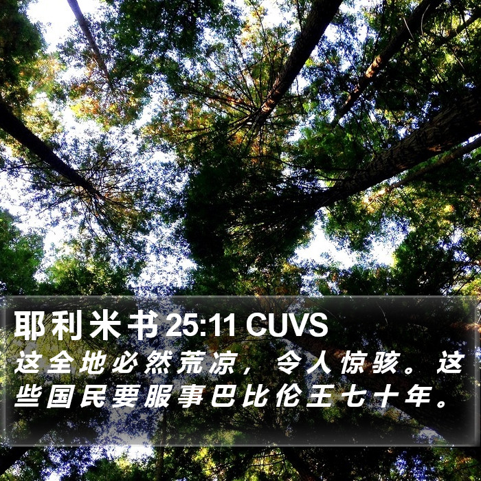 耶 利 米 书 25:11 CUVS Bible Study
