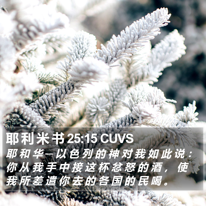 耶 利 米 书 25:15 CUVS Bible Study