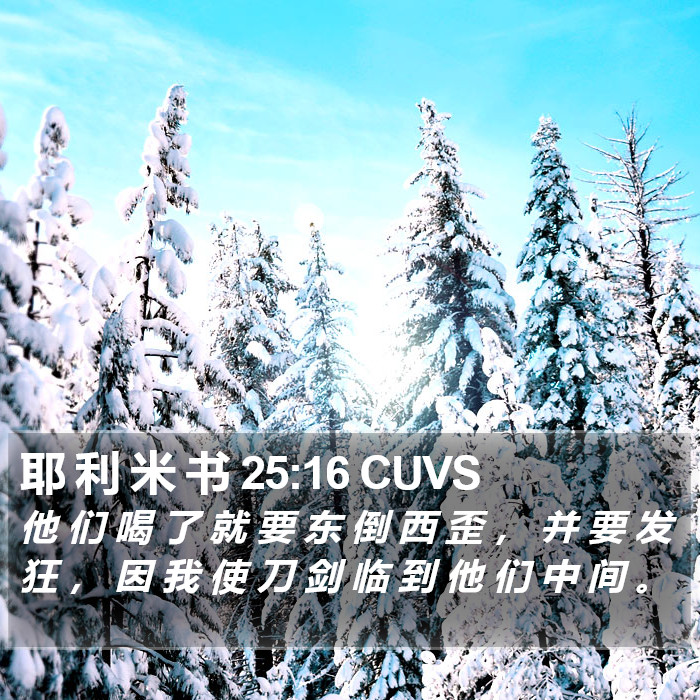 耶 利 米 书 25:16 CUVS Bible Study