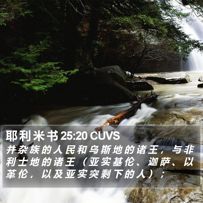 耶 利 米 书 25:20 CUVS Bible Study