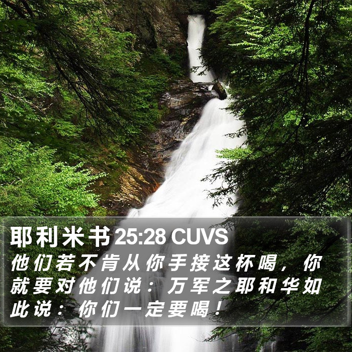 耶 利 米 书 25:28 CUVS Bible Study