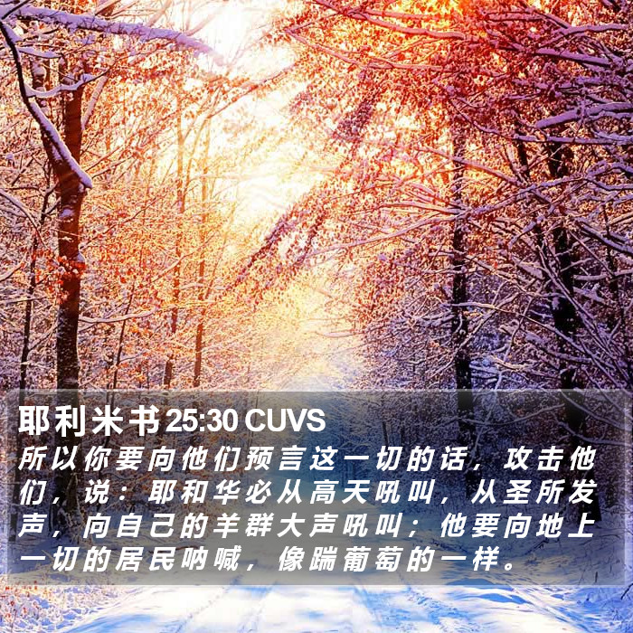 耶 利 米 书 25:30 CUVS Bible Study