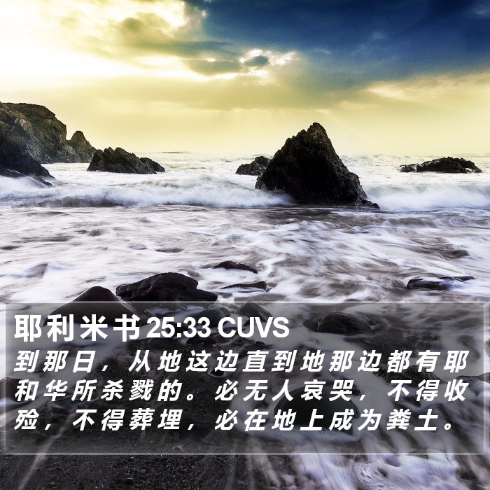 耶 利 米 书 25:33 CUVS Bible Study