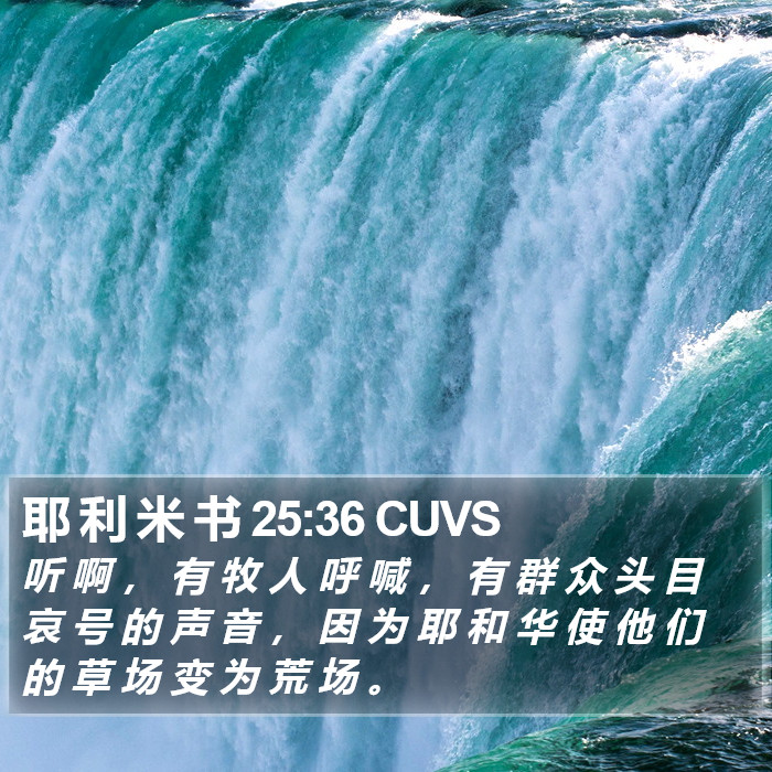 耶 利 米 书 25:36 CUVS Bible Study