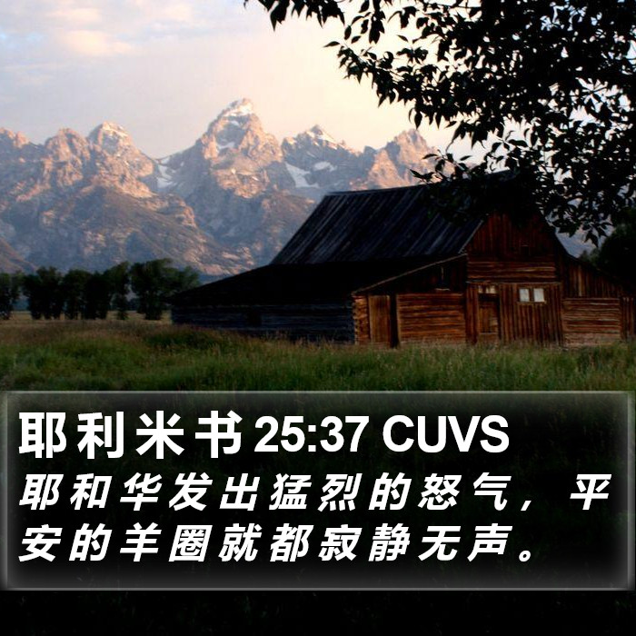 耶 利 米 书 25:37 CUVS Bible Study