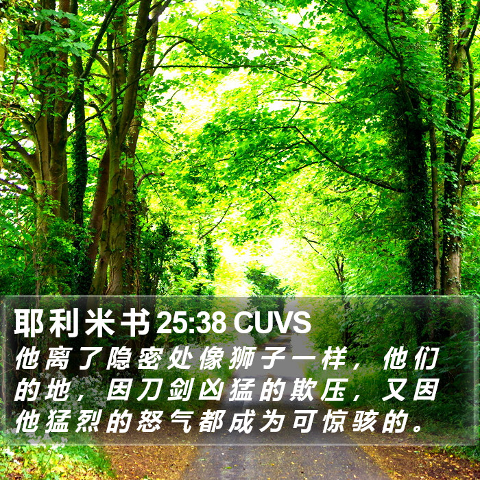 耶 利 米 书 25:38 CUVS Bible Study