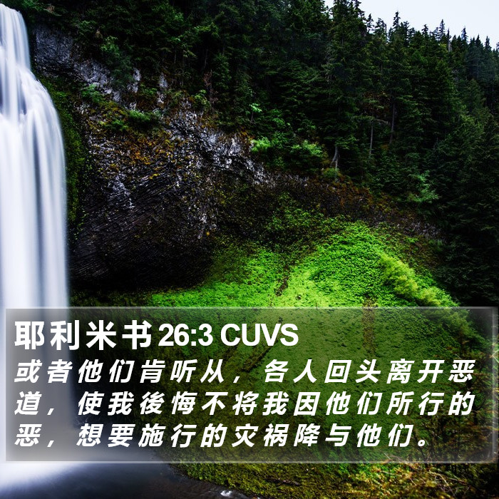 耶 利 米 书 26:3 CUVS Bible Study