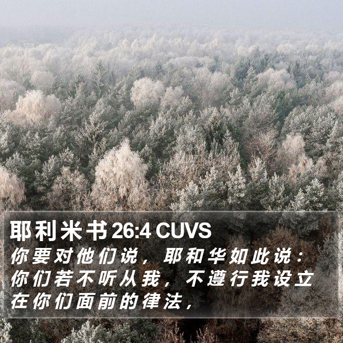 耶 利 米 书 26:4 CUVS Bible Study