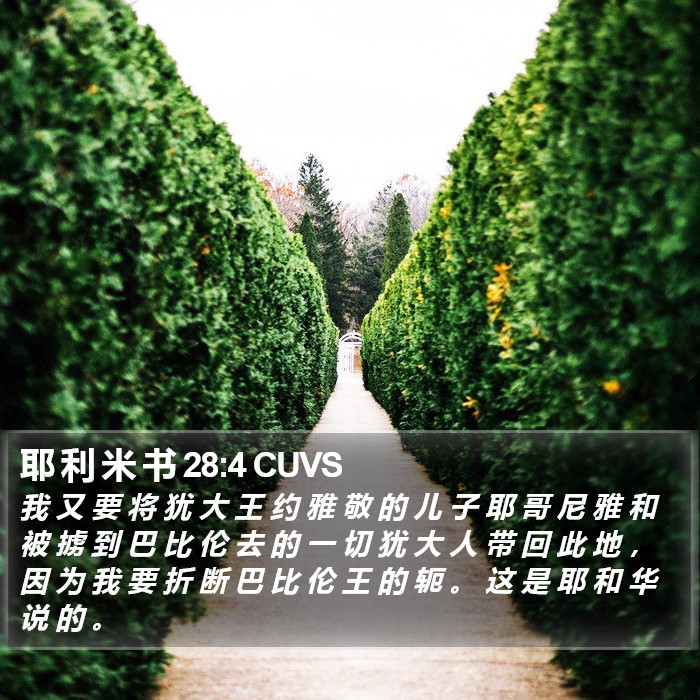 耶 利 米 书 28:4 CUVS Bible Study