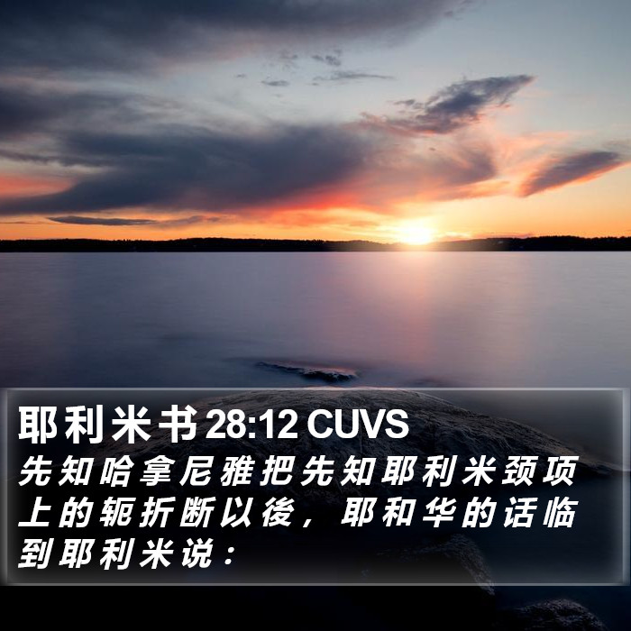 耶 利 米 书 28:12 CUVS Bible Study