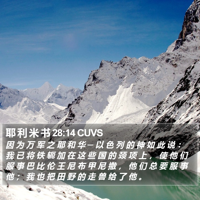 耶 利 米 书 28:14 CUVS Bible Study