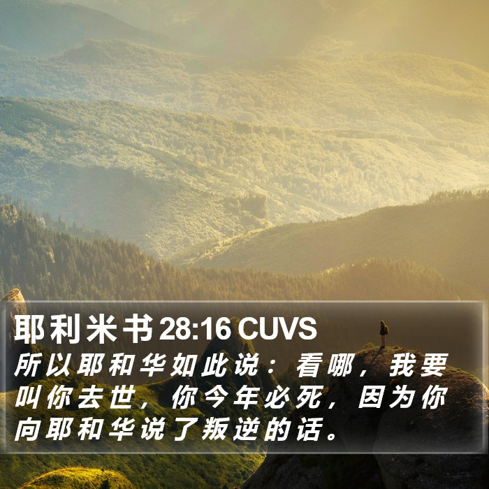 耶 利 米 书 28:16 CUVS Bible Study