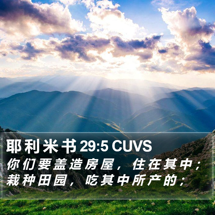 耶 利 米 书 29:5 CUVS Bible Study
