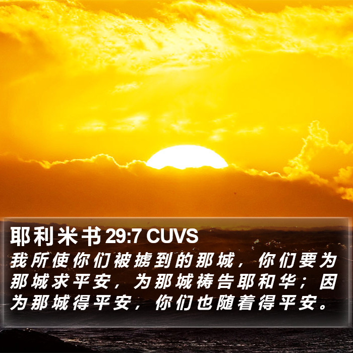 耶 利 米 书 29:7 CUVS Bible Study