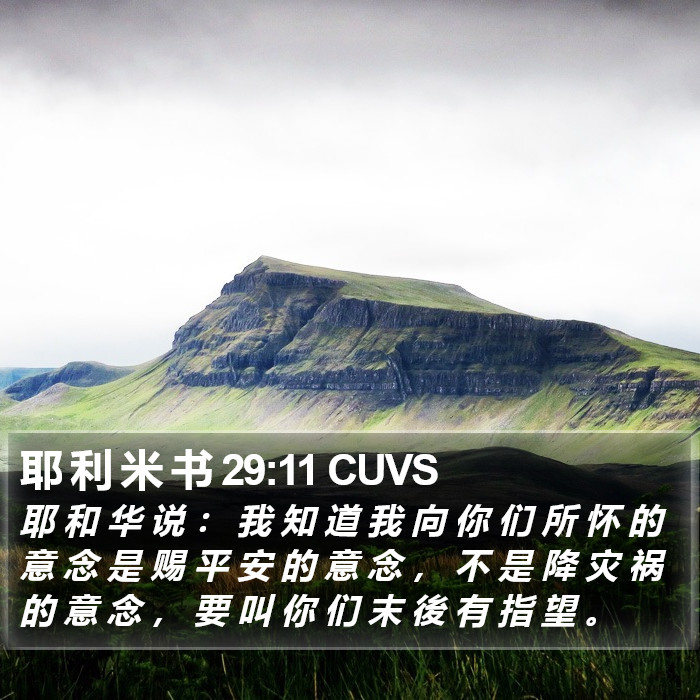 耶 利 米 书 29:11 CUVS Bible Study