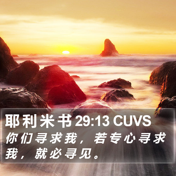 耶 利 米 书 29:13 CUVS Bible Study