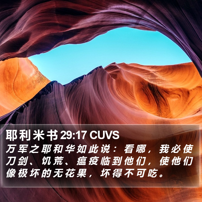 耶 利 米 书 29:17 CUVS Bible Study