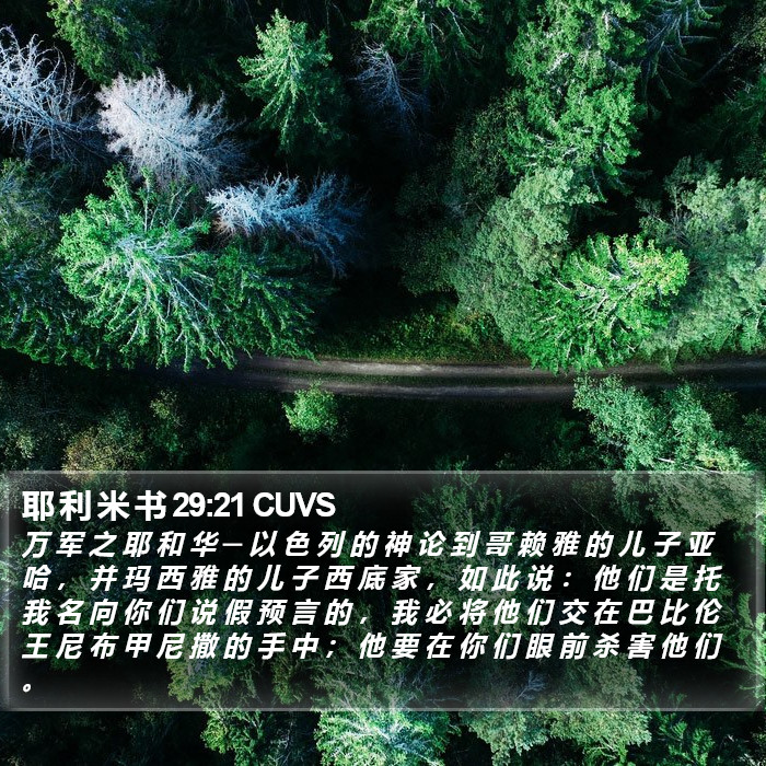 耶 利 米 书 29:21 CUVS Bible Study