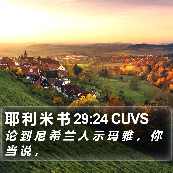 耶 利 米 书 29:24 CUVS Bible Study
