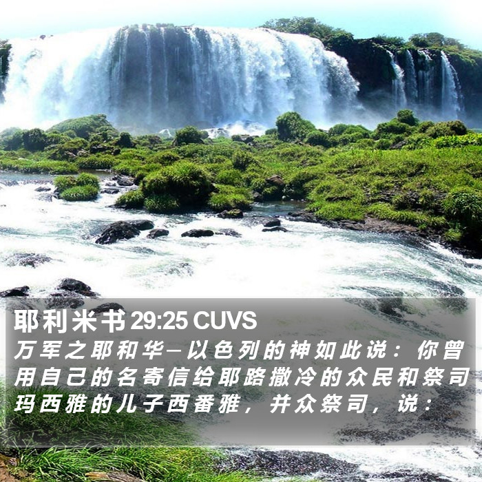 耶 利 米 书 29:25 CUVS Bible Study