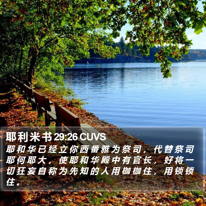 耶 利 米 书 29:26 CUVS Bible Study