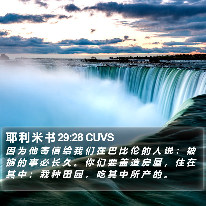 耶 利 米 书 29:28 CUVS Bible Study