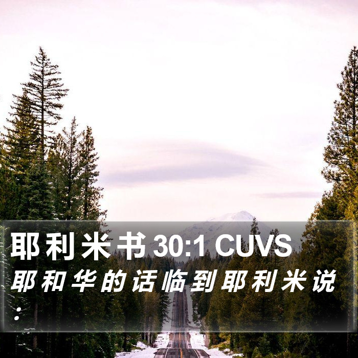 耶 利 米 书 30:1 CUVS Bible Study