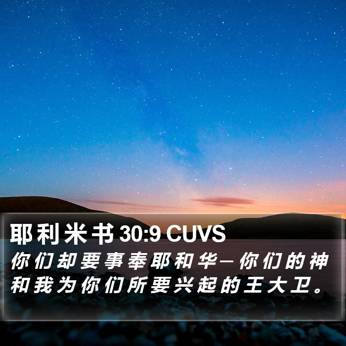 耶 利 米 书 30:9 CUVS Bible Study