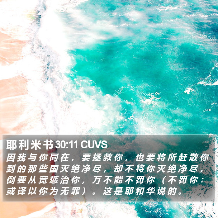 耶 利 米 书 30:11 CUVS Bible Study