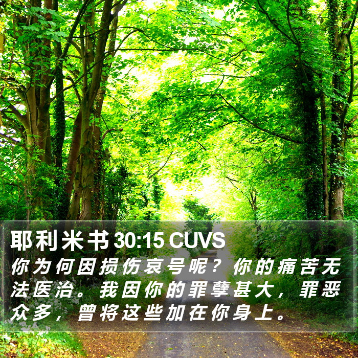 耶 利 米 书 30:15 CUVS Bible Study