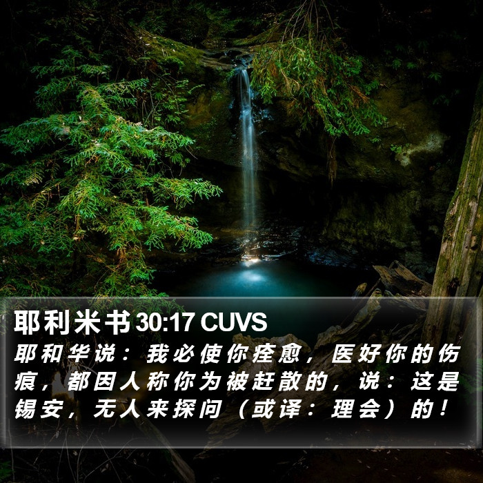 耶 利 米 书 30:17 CUVS Bible Study