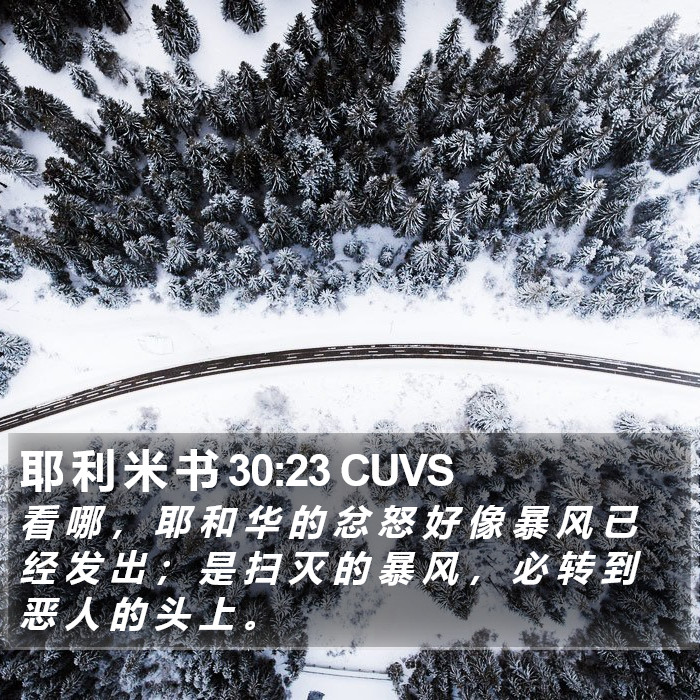 耶 利 米 书 30:23 CUVS Bible Study