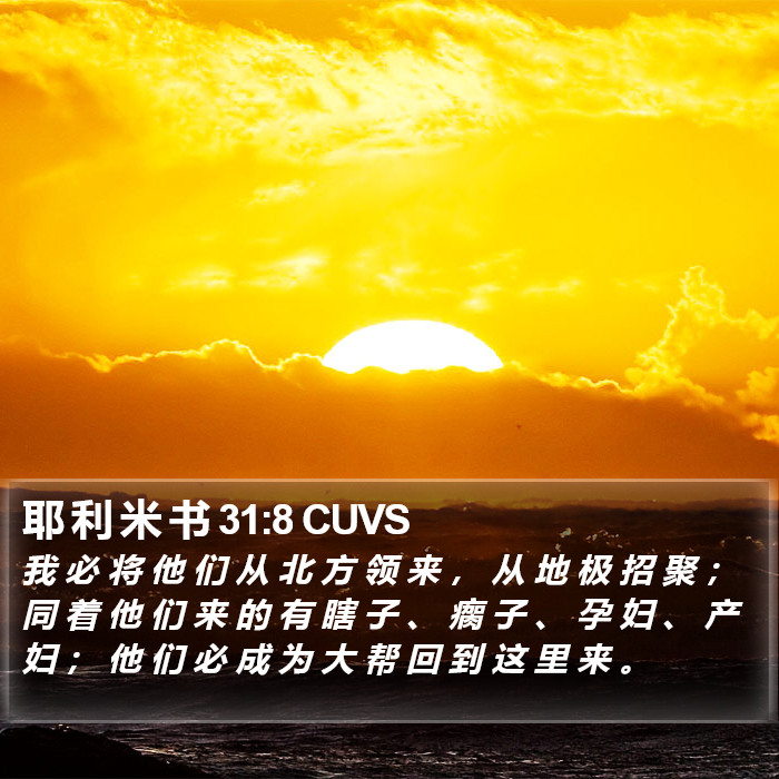 耶 利 米 书 31:8 CUVS Bible Study