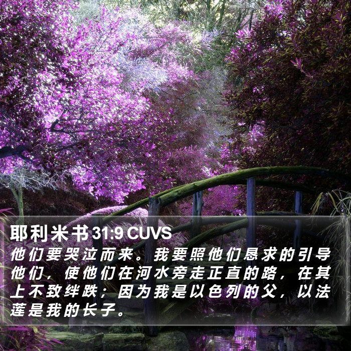 耶 利 米 书 31:9 CUVS Bible Study