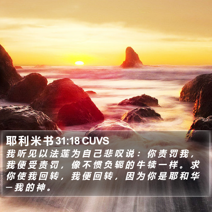耶 利 米 书 31:18 CUVS Bible Study