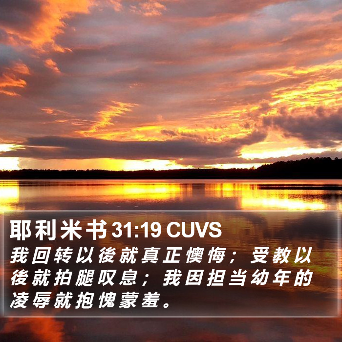 耶 利 米 书 31:19 CUVS Bible Study