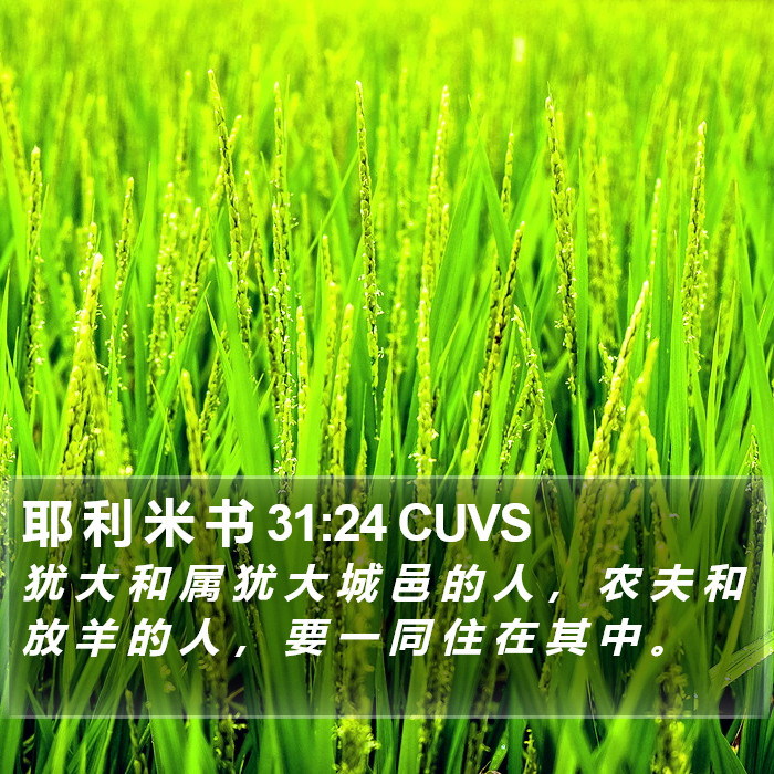 耶 利 米 书 31:24 CUVS Bible Study