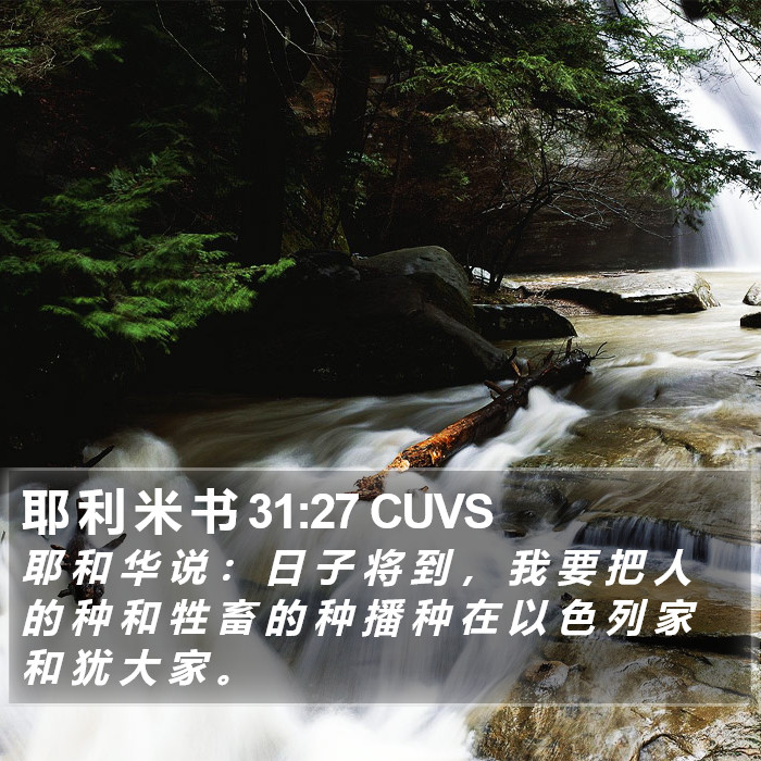 耶 利 米 书 31:27 CUVS Bible Study