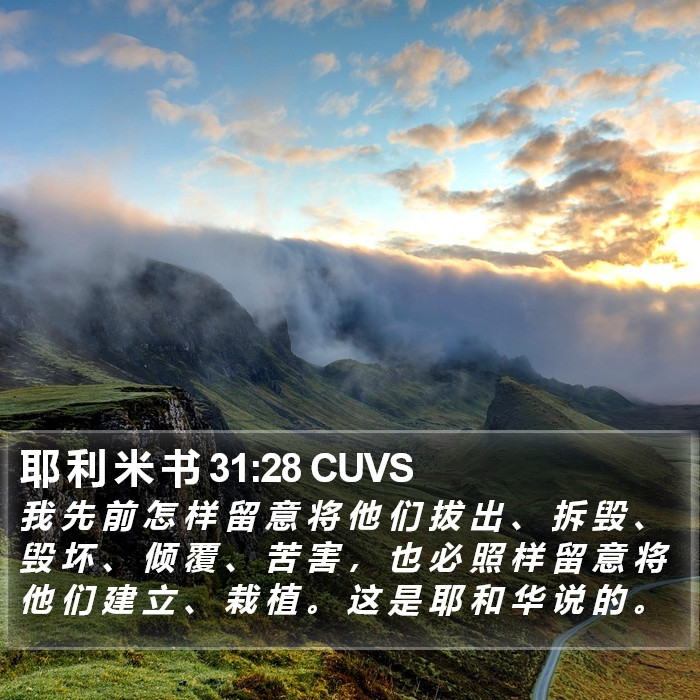 耶 利 米 书 31:28 CUVS Bible Study