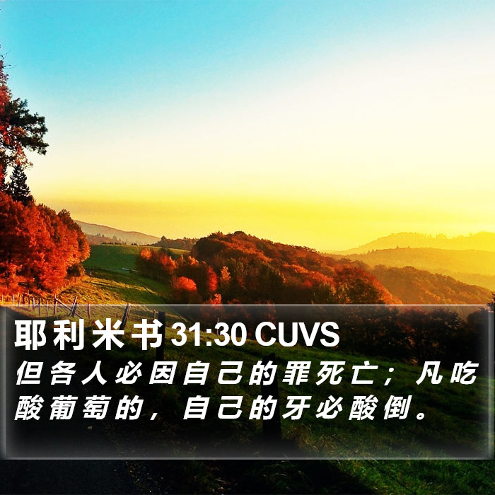 耶 利 米 书 31:30 CUVS Bible Study