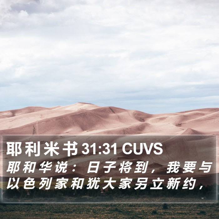 耶 利 米 书 31:31 CUVS Bible Study