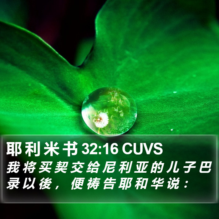 耶 利 米 书 32:16 CUVS Bible Study