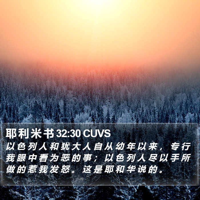 耶 利 米 书 32:30 CUVS Bible Study