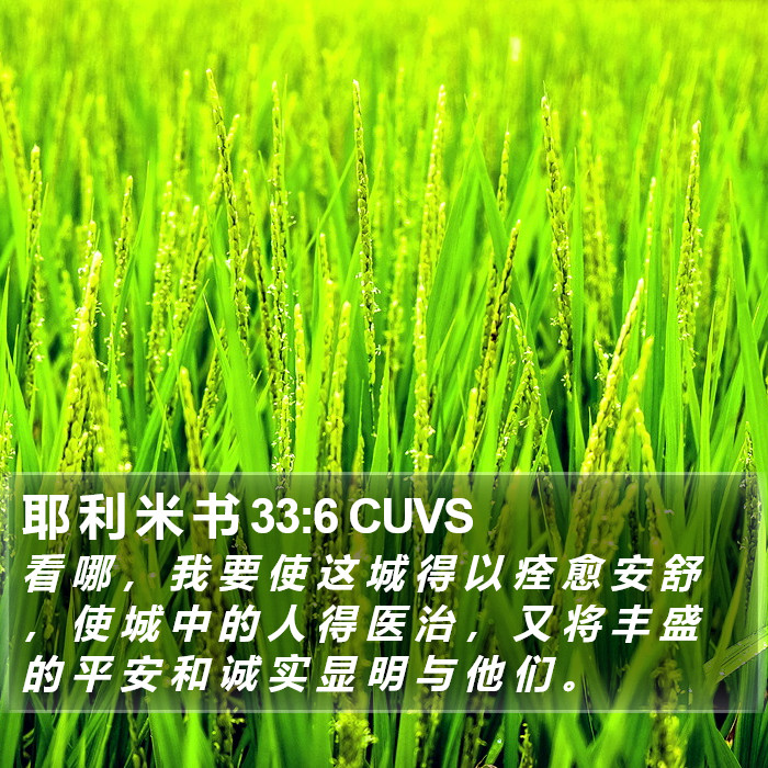 耶 利 米 书 33:6 CUVS Bible Study