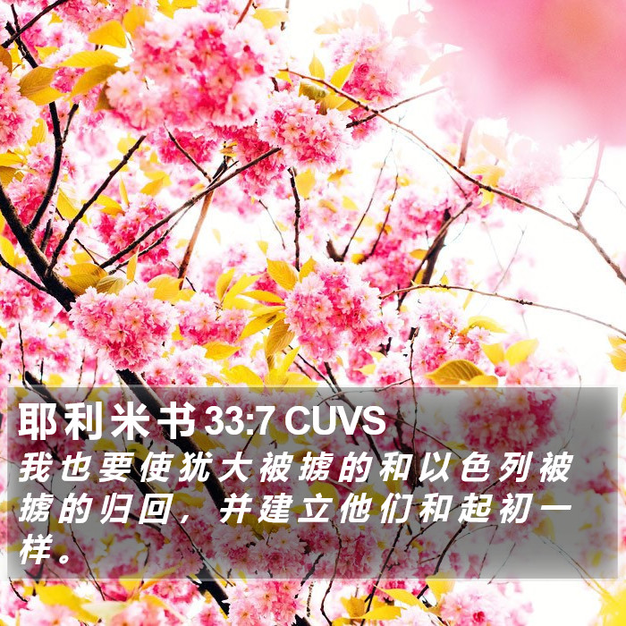 耶 利 米 书 33:7 CUVS Bible Study
