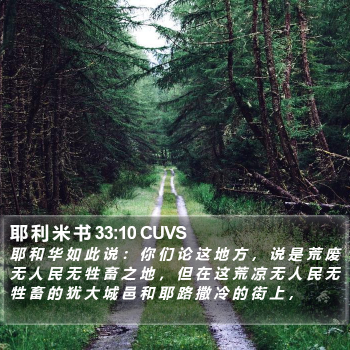 耶 利 米 书 33:10 CUVS Bible Study