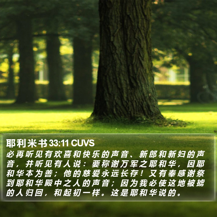 耶 利 米 书 33:11 CUVS Bible Study
