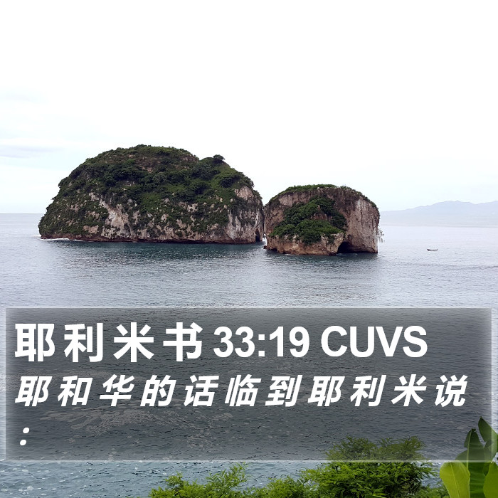 耶 利 米 书 33:19 CUVS Bible Study